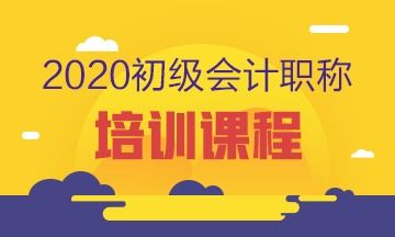 公司要出审计报告，找本地事务所还是线上代出机构更省心？